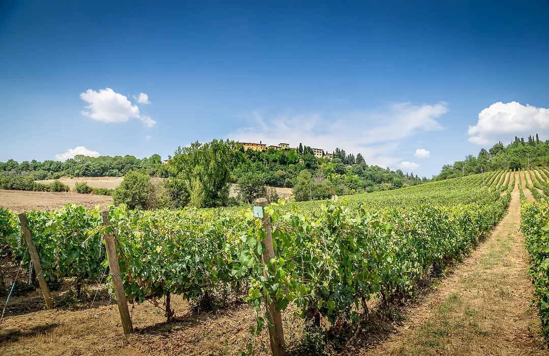 Villa S.Andrea-1