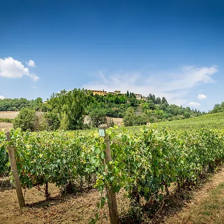 Villa S.Andrea-3